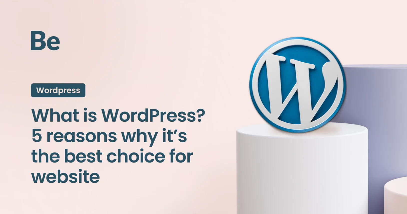 What is WordPress? 5 reasons why it’s the best choice for website