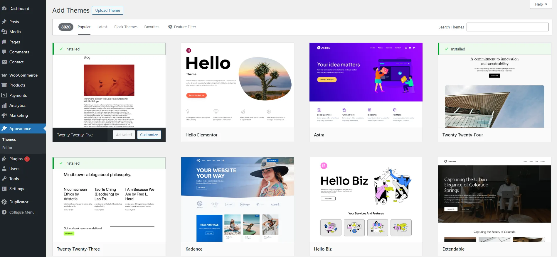 Wordpress Website Appearance Themes panel with popular free Themes showcase